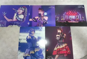 샤니마스 chapter283 안티카 L'Antica 혜택