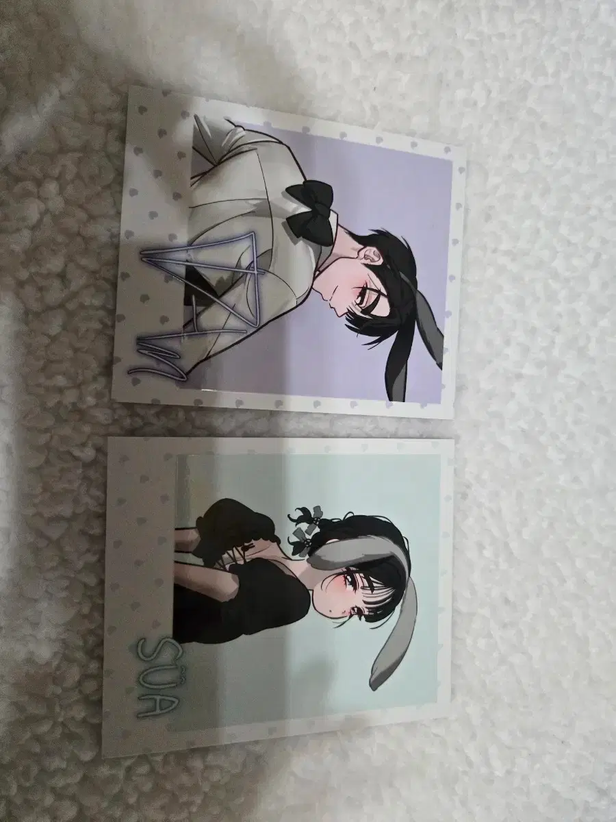 에이스테 바니스테 수아 이반 폴라 세트