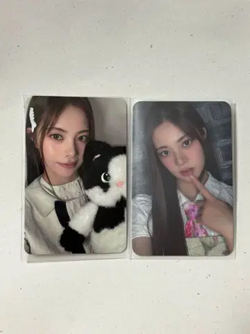 cosmosy 메이 트레이딩 카드 세트