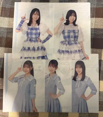 히나타자카46 복권 클리어 파일 세트