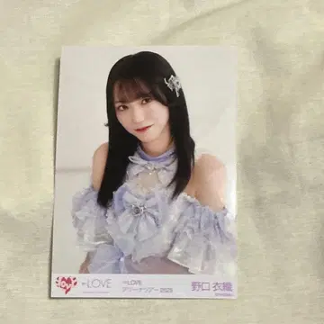 이코라브 노구치 이오리 생사진