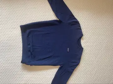 파타고니아 맨투맨 파타고니아 우프라이저 크루 트레이닝복