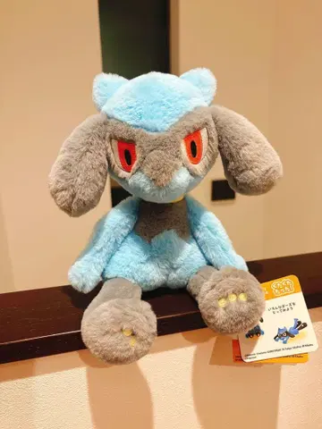 쿠타쿠타 타타 리오르 M