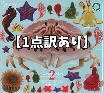 [ 1점 하자품2 ] NTC MONO+ 바닷가 생물 마그넷&볼체인2