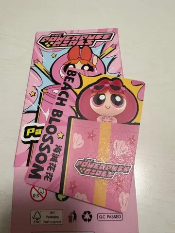 파워퍼프걸 POPMART 비치 블라썸