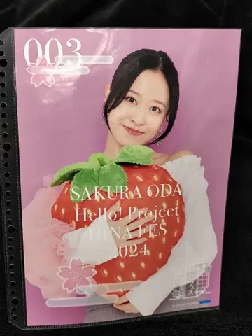 오다 사쿠라 핀업 포스터 히나 페스티벌 2024