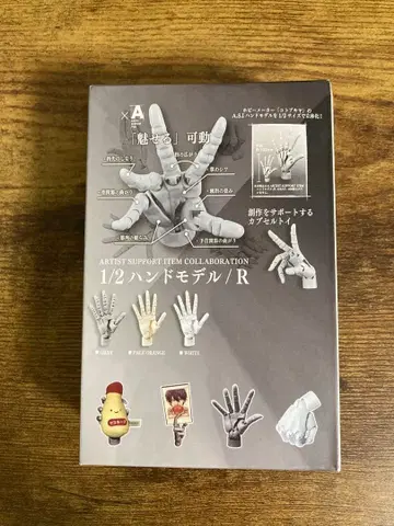 1/2 핸드 모델 R 색상 불명 박스형