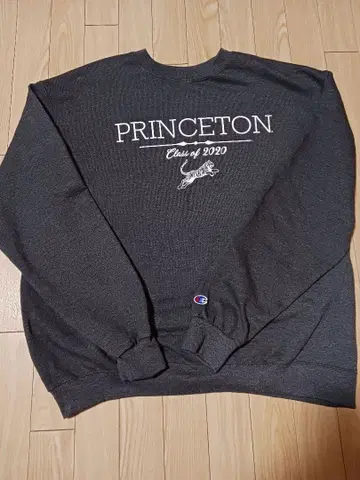 Champion 프린스턴 대학 칼리지 맨투맨 XL 그레이