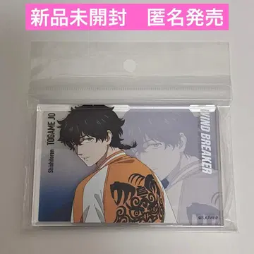 베이스야드 아쿠브로 토카미죠