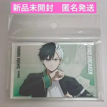 베이스야드 아쿠아브로 벚꽃 하루카