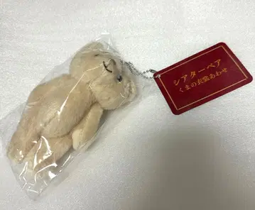 제국극장 시어터베어 곰 의상 맞춤 곰의 리도 베이지