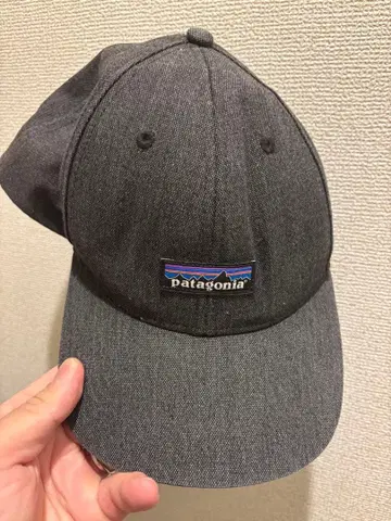 patagonia 그레이 캡