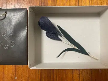 ARTS&SCIENCE 브로치 코사지 사프란