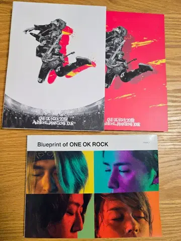 ONE OK ROCK 2018Ambitions Japan Tour DVD