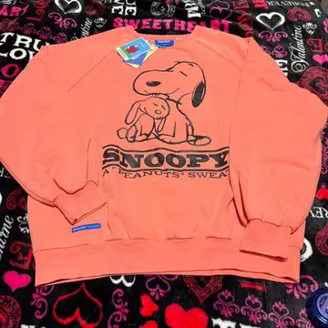 세븐 브릿지 스누피 트레이닝복 속기모 있음