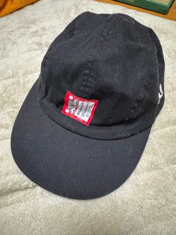 wasted youth x Budweiser 캡