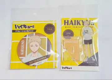 하이큐 츠키시마 케이 아크릴 스탠드 점프샵 한정판