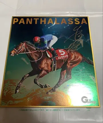 판사라사 메탈릭 가공 명마 전사 색지 컬렉션 Vol.3