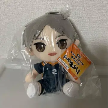 하이큐 오리지널 봉제 인형 스가와라 코시