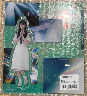 사쿠라자카46 야마시타 시즈키 아크릴 스탠드 자업자득