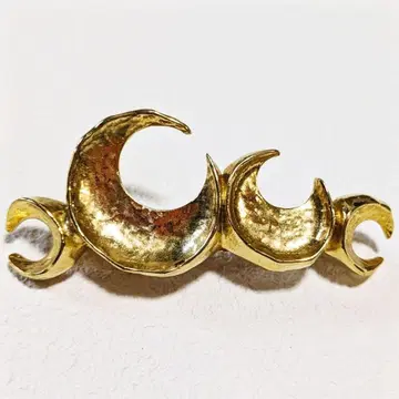 [ 최종 가격 인하 ] PLUIE  문 머리핀(골드)