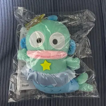 아베일 한교동 별자리 마스코트 참 물고기자리