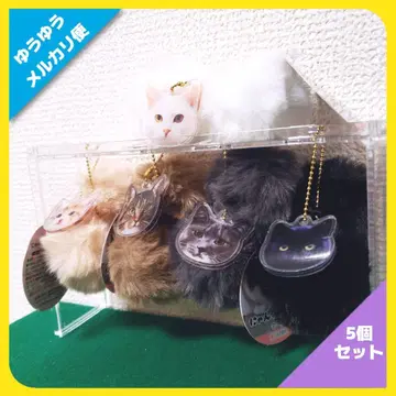 냥타마 스코트 전 5종 세트