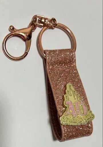 도쿄 디즈니 리조트 한정 40주년 신데렐라 성 머리띠 홀더