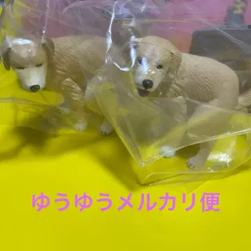 굼벵이2 시크릿 골든 리트리버 캡슐 토이 2종 세트