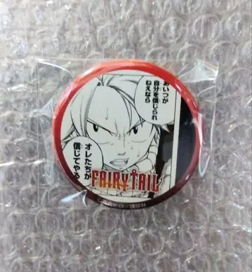 페어리 테일 프린세스 카페 캔뱃지 나츠2