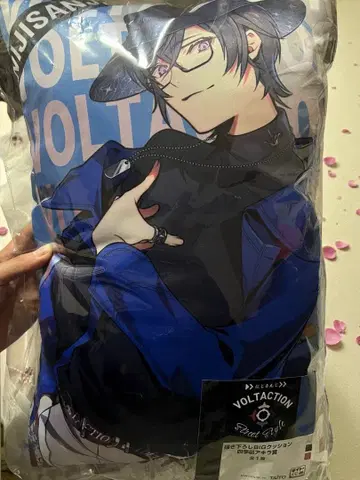 한정판 가격 인하 니지산지 사계절 나기 아키라 쿠션