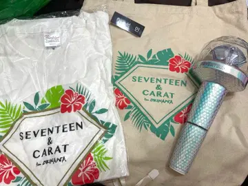 SEVENTEEN 오키나와 응원봉