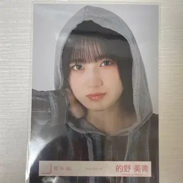 체크 코디 마토노 미오 요리