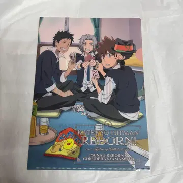 [ 가정교사 히트맨 REBORN! A4 편안한 컬렉션 파일 ]