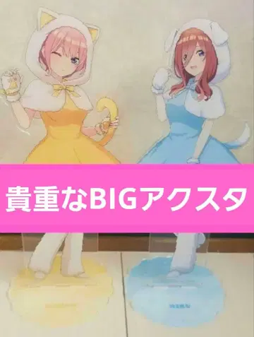 5등분의 신부 나카노 이치카 & 나카노 미쿠 BIG 아크릴 스탠드 세트
