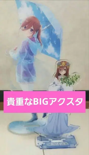 5등분의 신부 나카노 미쿠 BIG 아크릴 스탠드 & 아크릴 스탠드 세트
