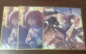 모모이 아이리 색지