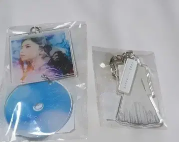 사카미치 시리즈 노기자카46 여기에 없는 것 사이토 아스카 키링 세트