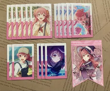 프로세카 모모이 아이리