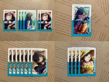 프로세카 시로이시 안