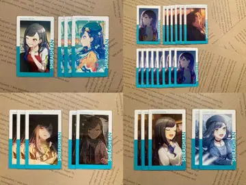 프로세카 시로이시 안