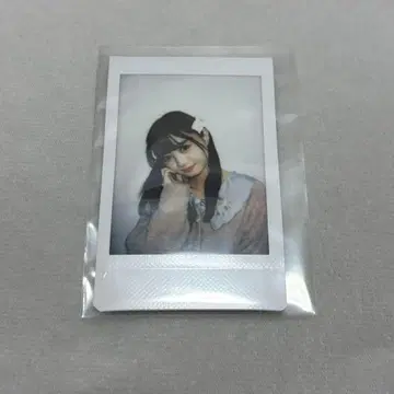 가련한 아이보리 이치노세 나오 폴라로이드