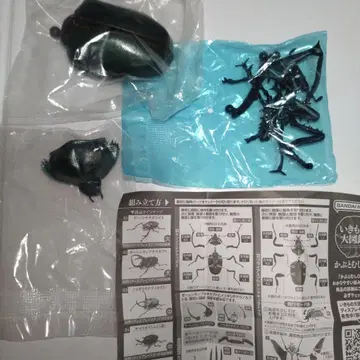 생물대도감 가챠 딱정벌레 04 야마토장수풍뎅이