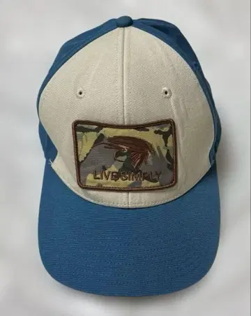 파타고니아 LIVE SIMPLY 캡 블루 계열 화이트 패치 모자