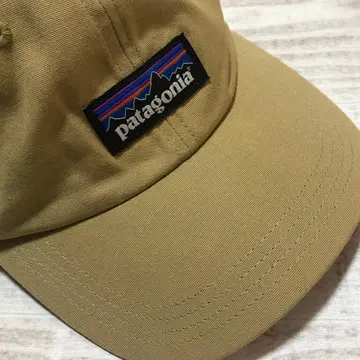 2020년 한정판 P-6 라벨 트레디셔널 캡 Trad Cap CSC