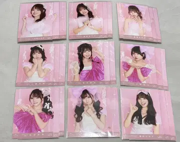 사랑스러운 아이보리 브로마이드 컴프