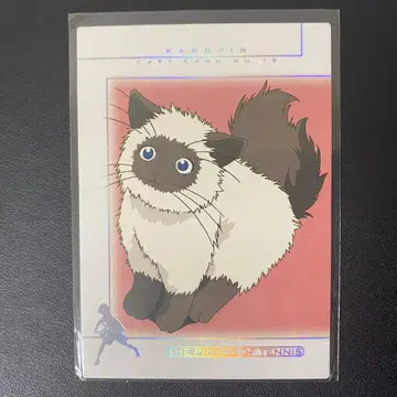 테니스의 왕자님 테니프리 카드 트레이딩 카드 에치젠 료마 카르핀 레어