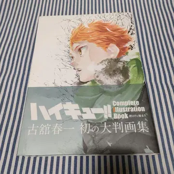 하이큐!! Complete Illustration book 끝과 -