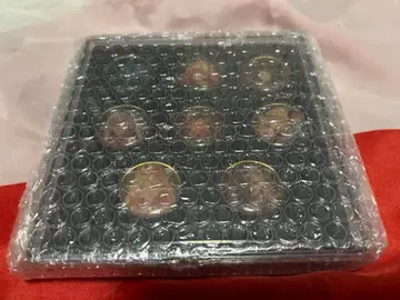 섀도우버스 리더 핀 배지