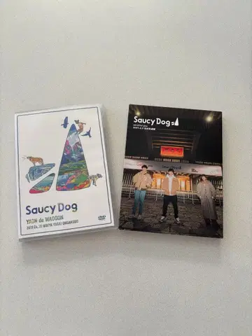 saucy dog dvd